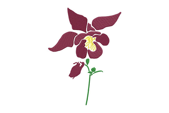 Burgundy Columbine Flower: A Designer’s Review