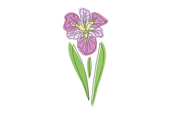 Elegant Pink Iris: A Designer’s Review for Boutique Sweatshirts