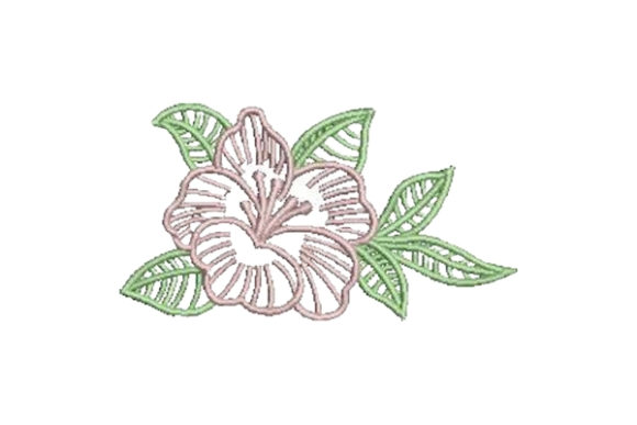 Hibiscus Outline Flower: A Designer’s Review