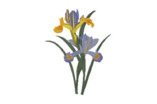 Iris Beauty: A Vintage Embroidery Review for Etsy Sellers