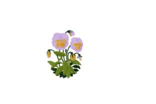 Pansy Embroidery Review: A Designer’s Take