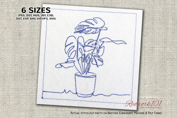Reviewing Potted Monstera Plant Redwork for Gifts