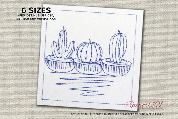 Reviewing Three Types of Cactus Plant Redwork