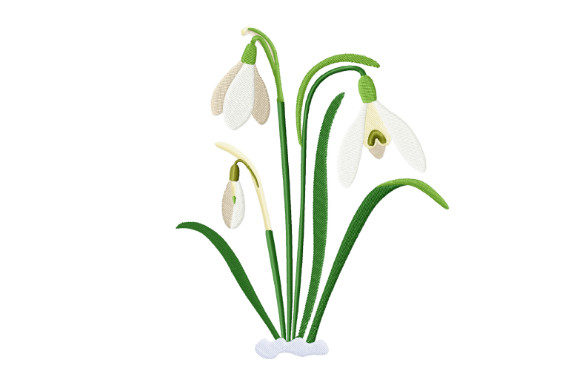 Spring Snowdrops: A Designer’s Review