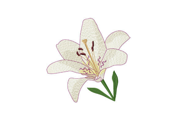 White Tiger Lily: A Review for Boutique Apparel