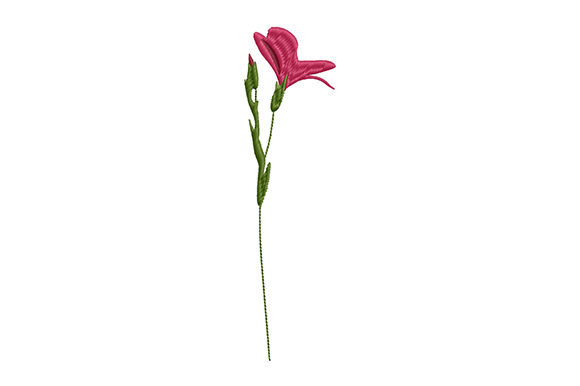 Wild Flower on a Thin Stem: A Designer’s Review
